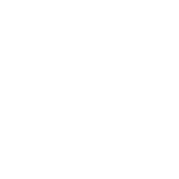 Google Cloud Platform (GCP)